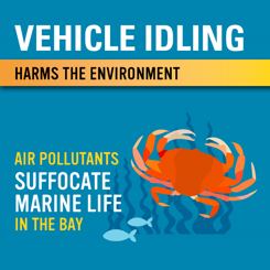 Marine Life Thumbnail Image