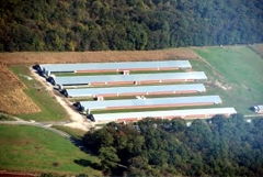 chicken houses