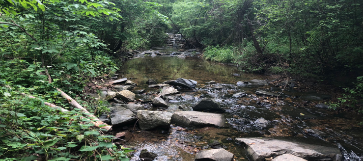 Stoney Run Stream Restoration