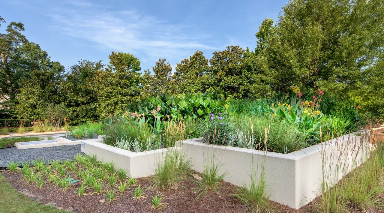 Lower wetland treatment cells of the Emory University WaterHub water reuse system