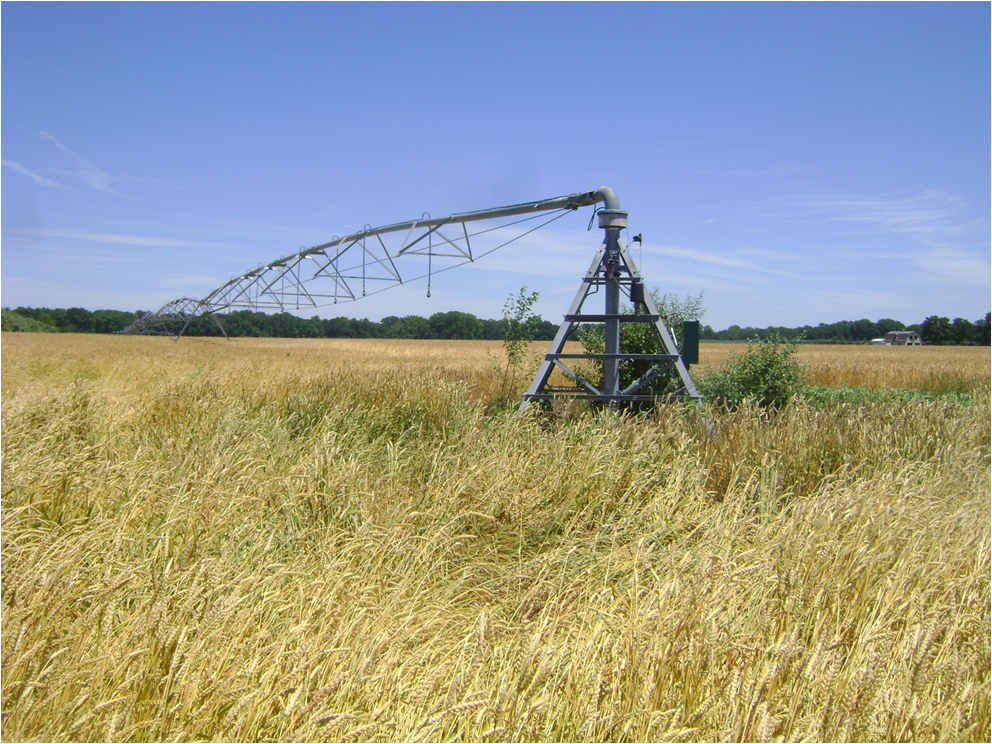 Spray Irrigation System in Worton, Maryland