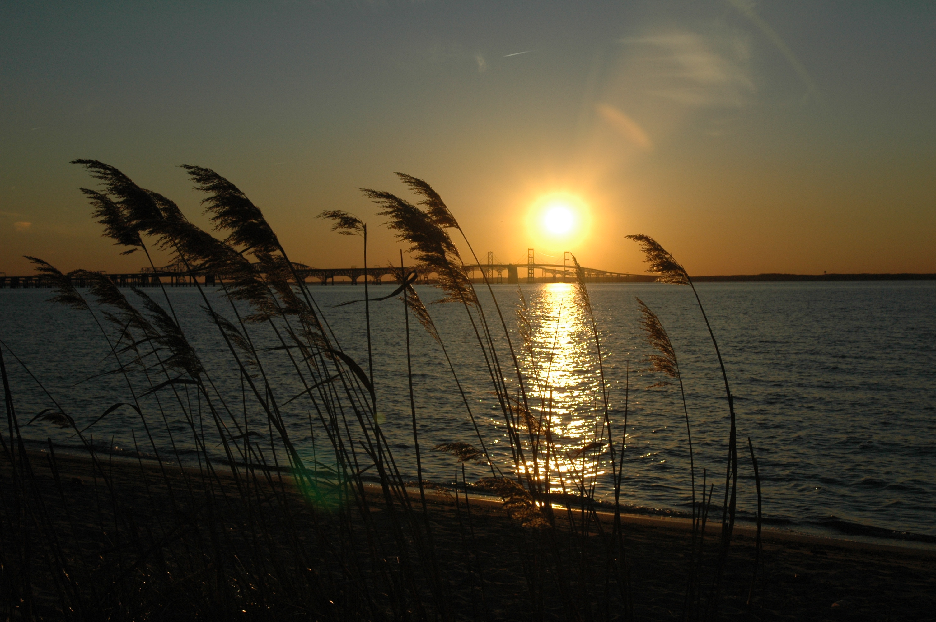 Chesapeake Bay