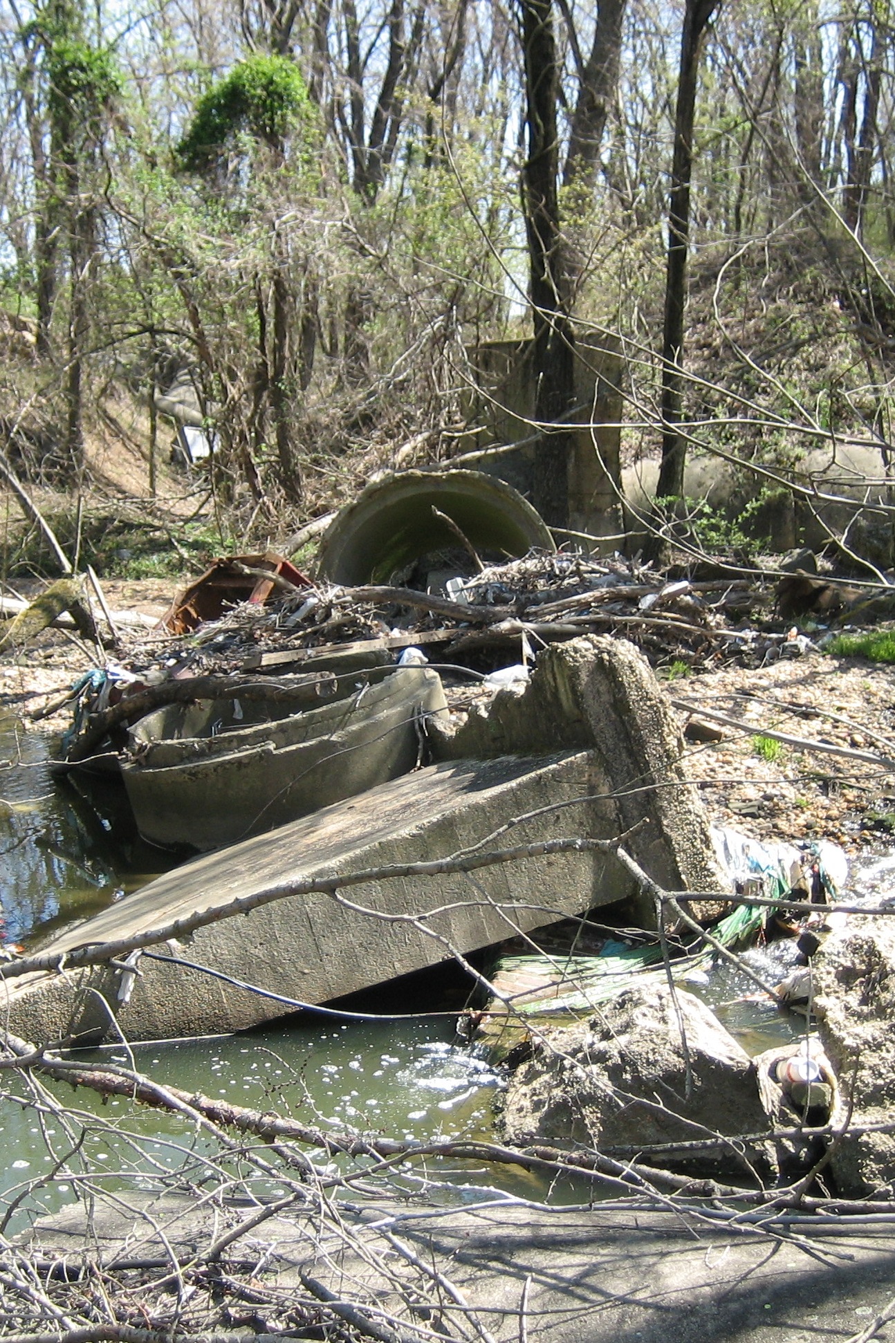 Debris in stream