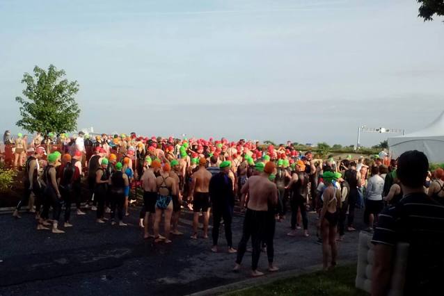 Crowd of swimmers at a beach