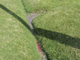 Sewage Effleunt in Draiange Ditch