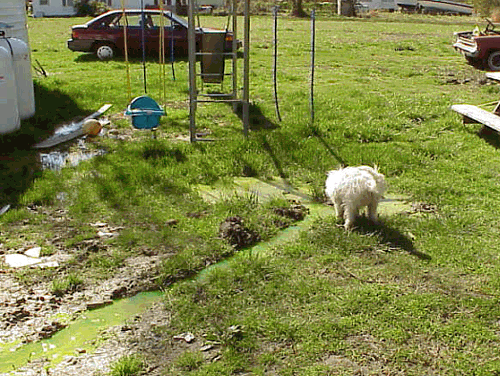 Sewage effluent surfacing in play area