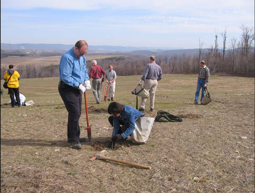 Mining Site is 1000 Trees Richer  