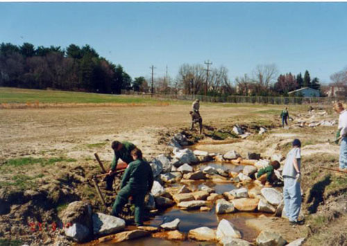 Stream restoration project