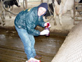 Man collecting water quality sample