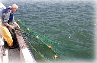 Man on boat