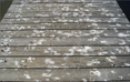 Pier covered with bird droppings