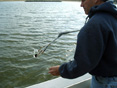 Man taking water sample on a boat