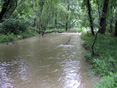 Corsica River Restoration and Protection Project