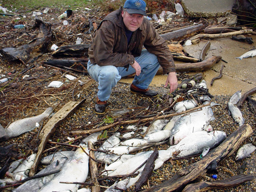 A fish kill on Broak Creek