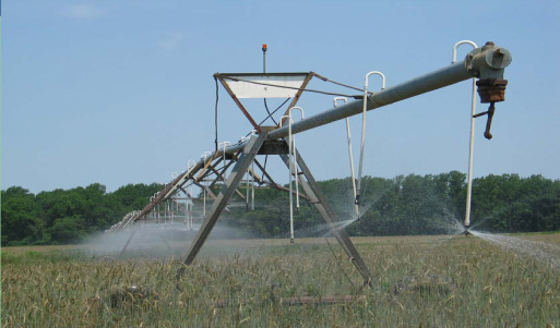 Photo of spray irrigation