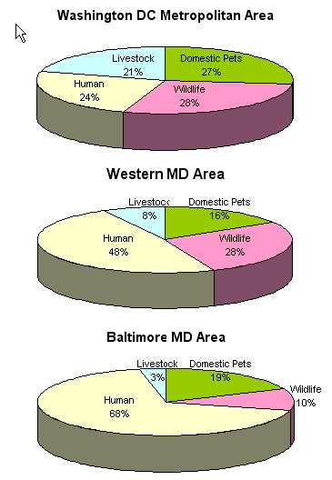 Figure 3 - Regional Pie Chart