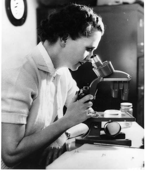 Photo of Rachel Carson