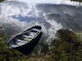 Row boat in water