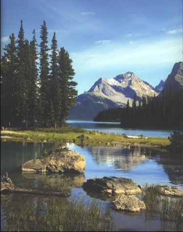 Mountain stream with mountain in backgroud