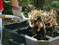 Turning a compost pile