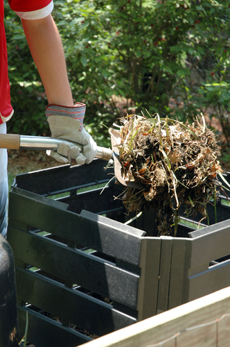 Photo of composting