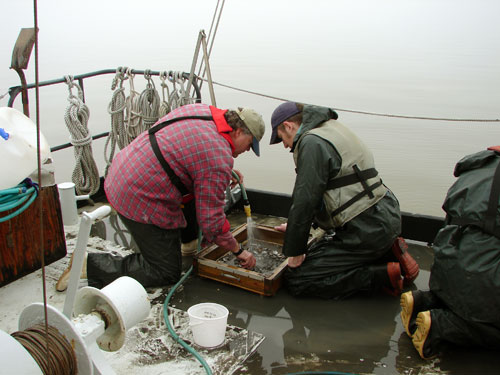 Hart-Miller Island exterior monitoring program sampling