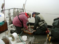 Two people collecting water quality samples  