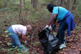 Searching for invasive plants in Quiet Waters Park