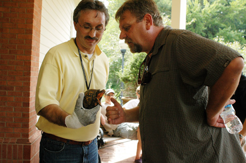 Box turtle caught by Frank Siano for tag and release program