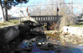 Gravel Run, Tributary to Corsica River