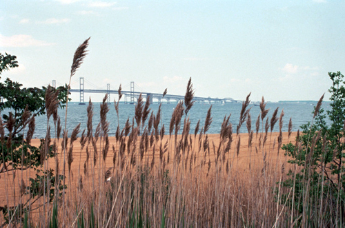 The western shore of Maryland’s Chesapeake Bay.  