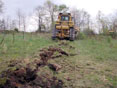 A dozer rips the site to make it more suitable for planting.