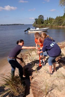 Shoreline Restoration Project