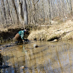 Photo of Stream Monitoring