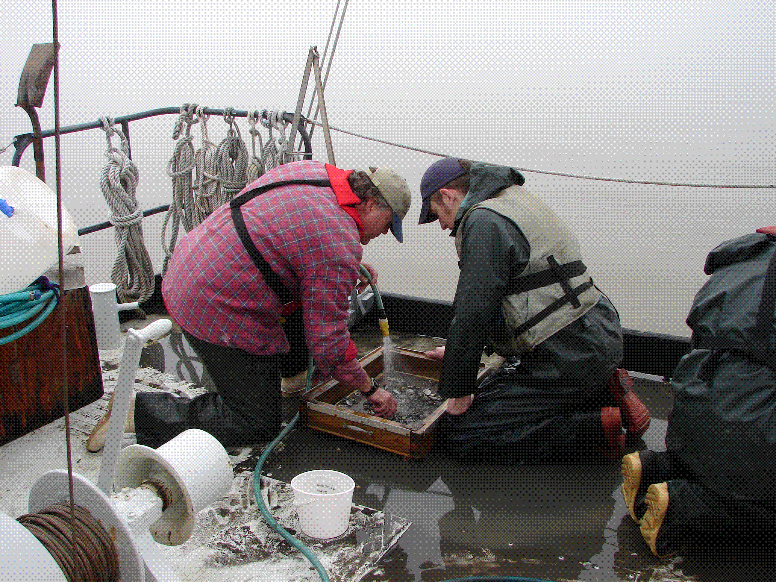 image of MDE staff collecting benthic macroinvertebrates