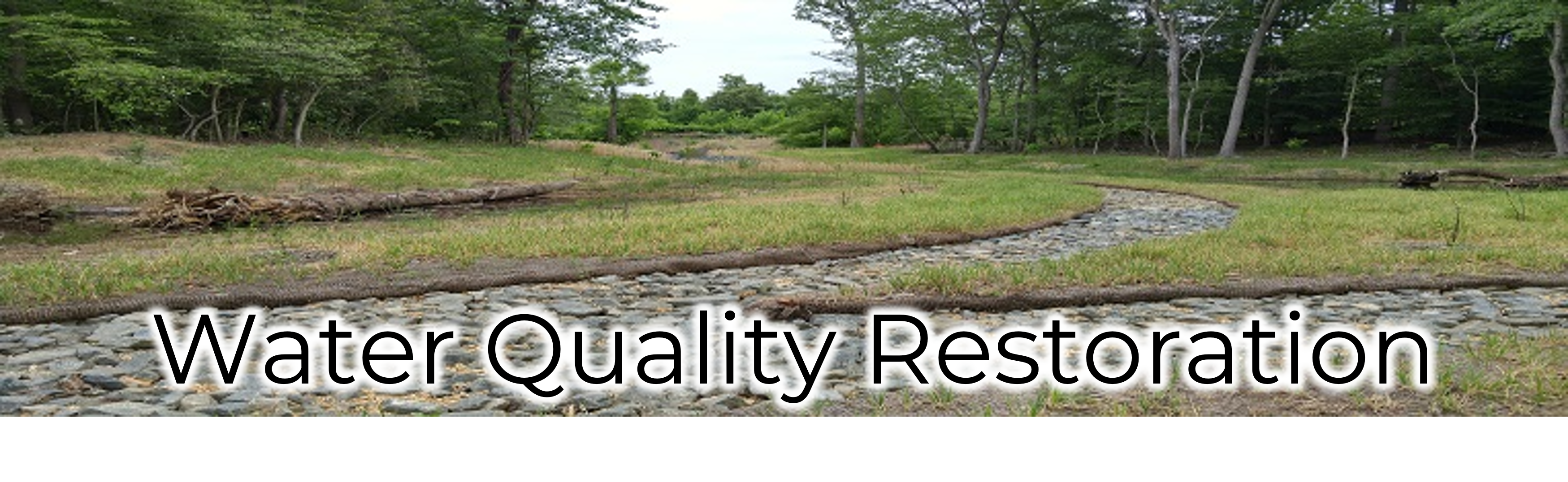 Water Quality Restoration