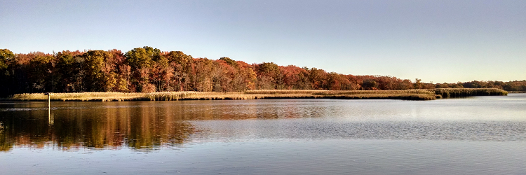 Dundee Creek