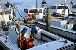 Fishing boat