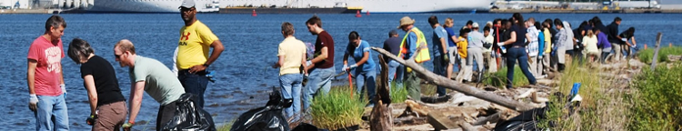 A line of people cleaning up a coastline