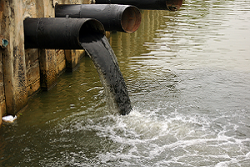 Dirty water coming out of a drin pipe