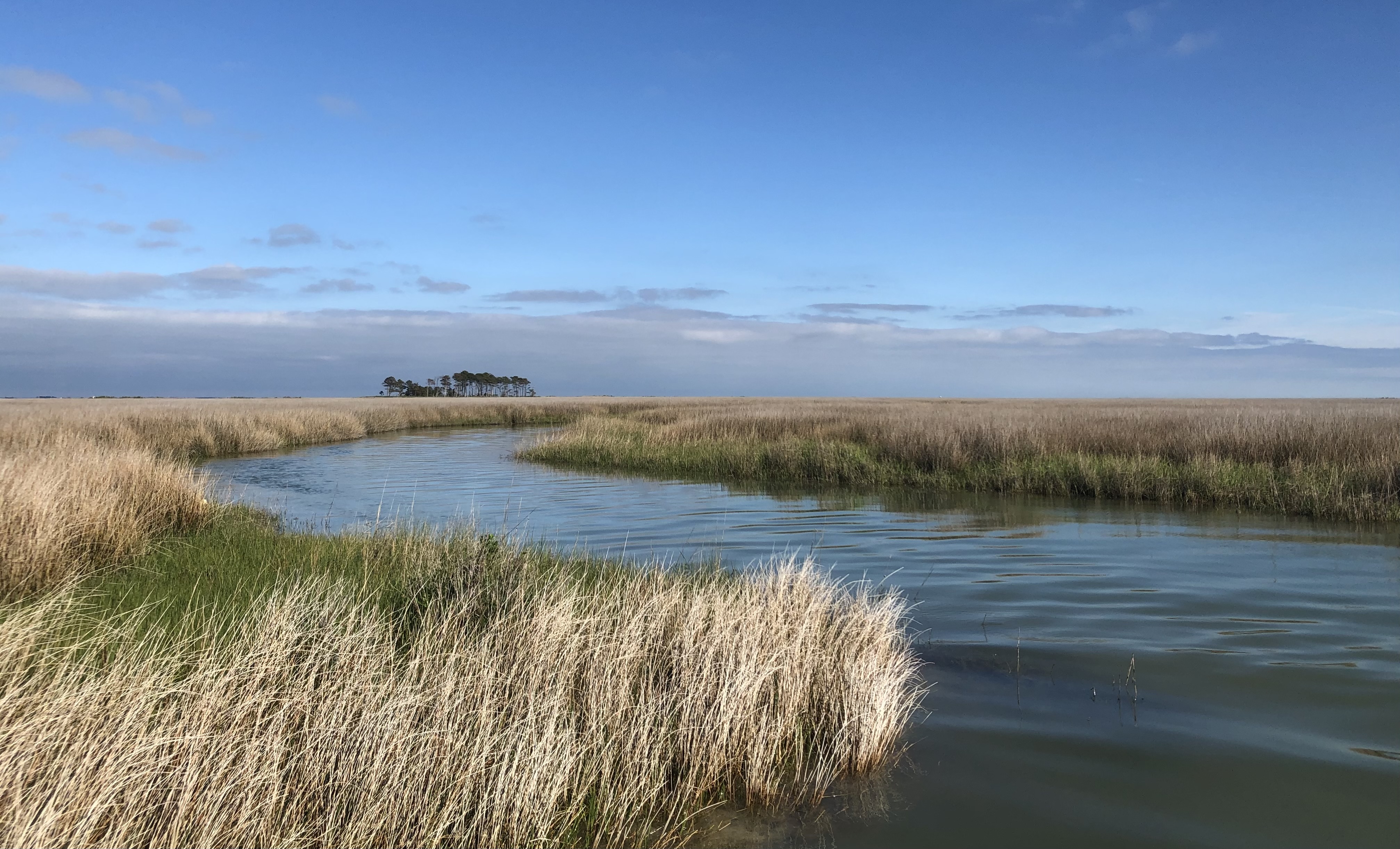 Hooper's Island.jpg