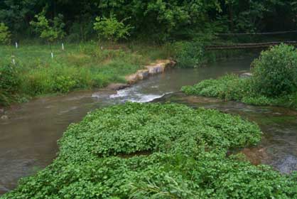 two streams merging