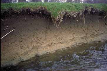 erosion of bank