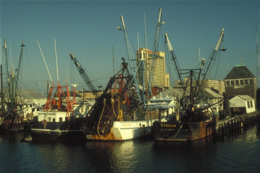 work boats in the Baltimore Harbor