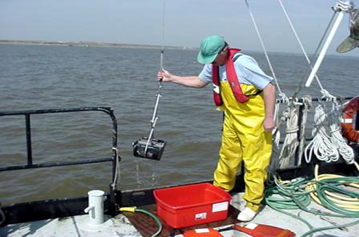 Water Quality Assessments